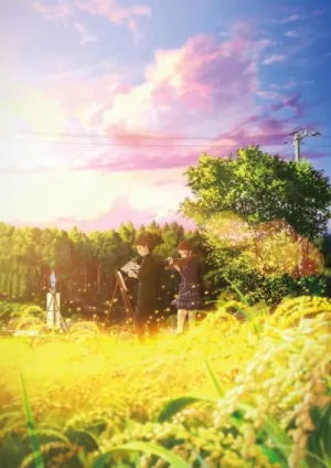 Hakubo izle