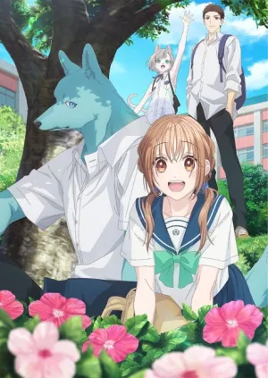 Kimi to Koete Koi ni Naru izle