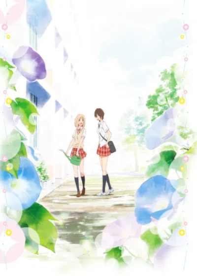 Kimi no Hikari: Asagao to Kase-san. izle