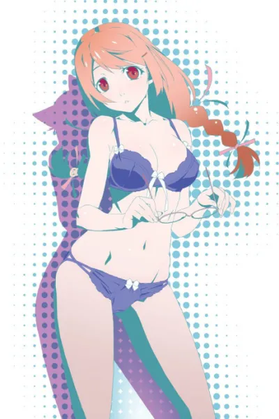 Nekomonogatari (Kuro) izle