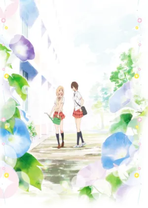 Kimi no Hikari: Asagao to Kase-san. izle