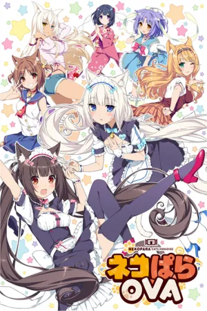 Nekopara OVA izle