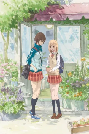 Asagao to Kase-san. izle