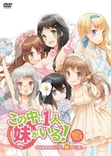Kono Naka ni Hitori, Imouto ga Iru!: Ani, Imouto, Koibito izle